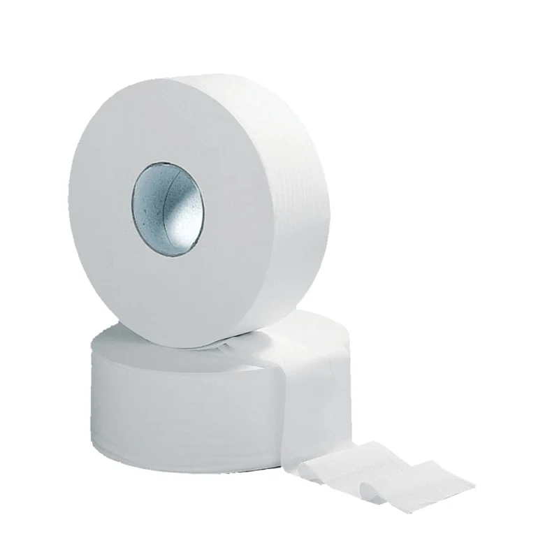 PAPIER HYGIENIQUE ECOLO GREEN MINI TITAN COLIS DE 12
