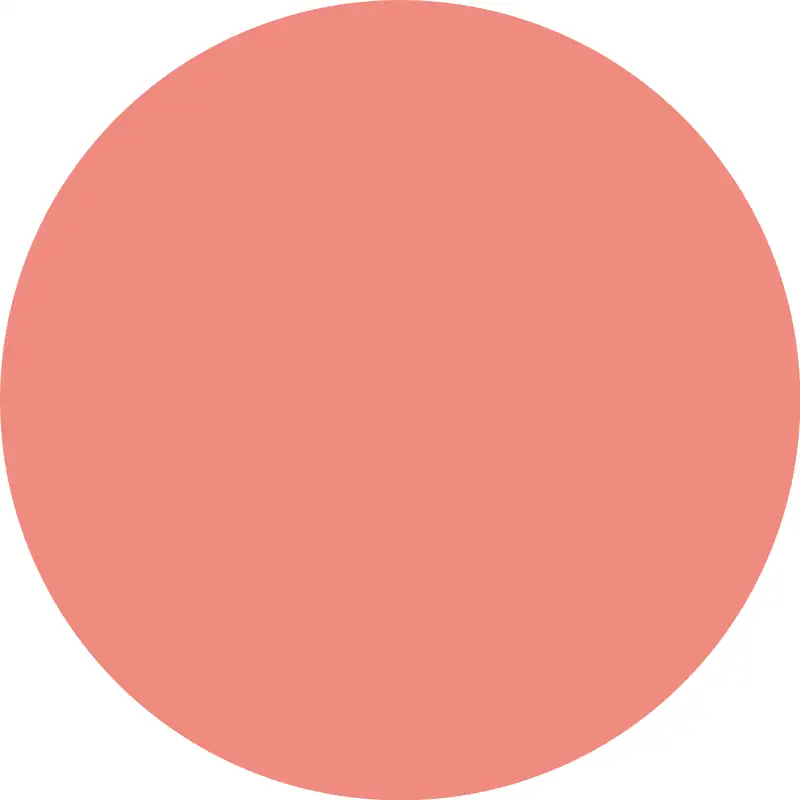 Catrice Blush Cushion Cloud Tint 020, 4 g