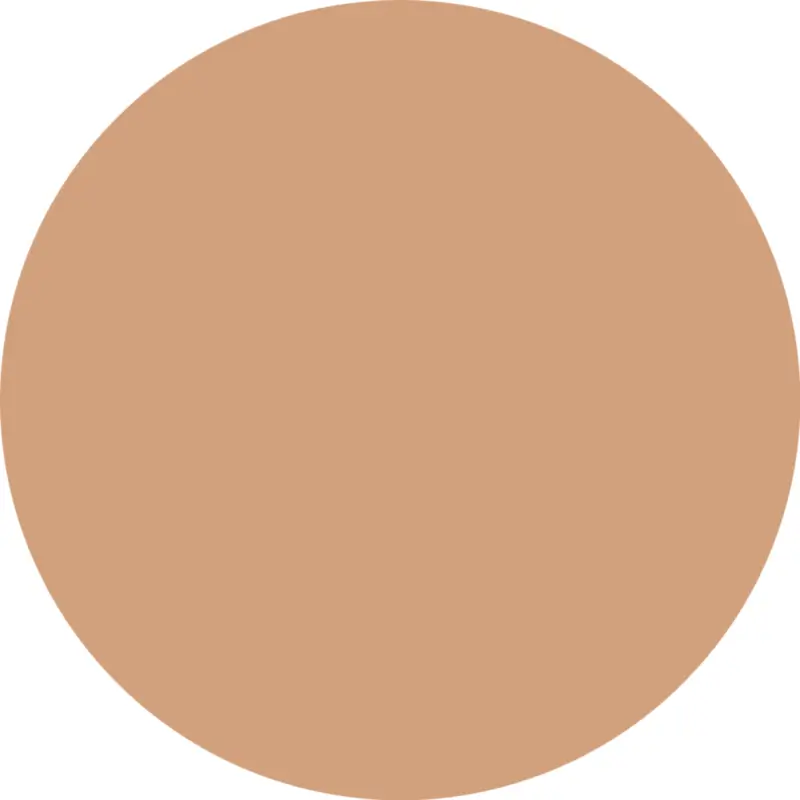 Essence Fond de teint Silky Cushion Foundation 170, 12 g