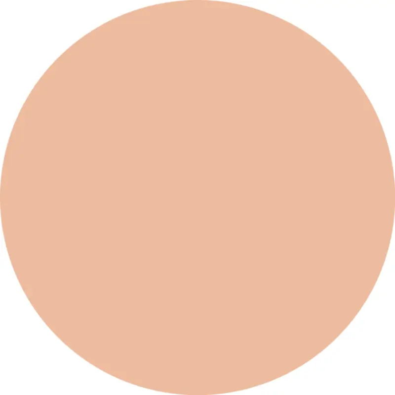 Essence Fond de teint Silky Cushion Foundation 100, 12 g