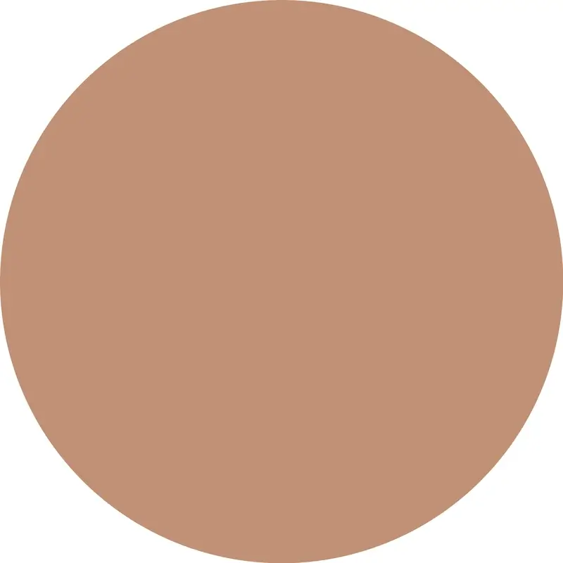 Essence Concealer Camouflage+ Matte 170, 8 ml