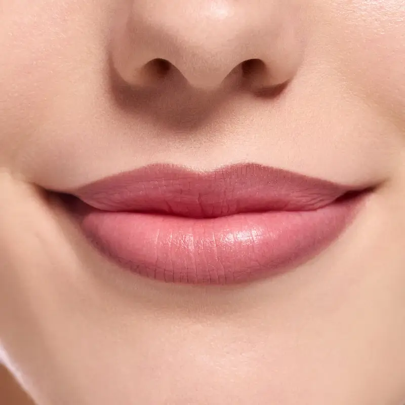 Essence Lip Liner 8H Matte Comfort 22, 0.3 g