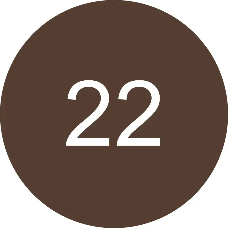 Essence Lip Liner 8H Matte Comfort 22, 0.3 g