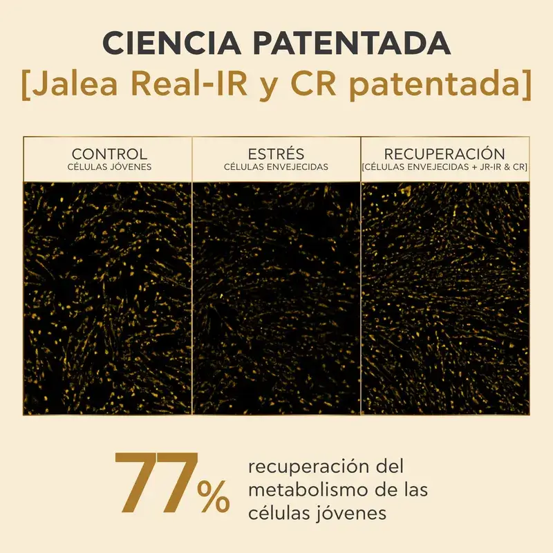 Apivita Queen Bee Longevity Rich Cream 12 Youth Markers, 50 ml