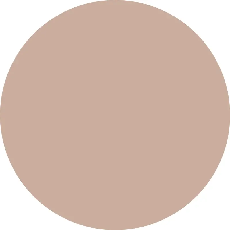 Essence Concealer Camouflage+ Matt 80 , 8 ml