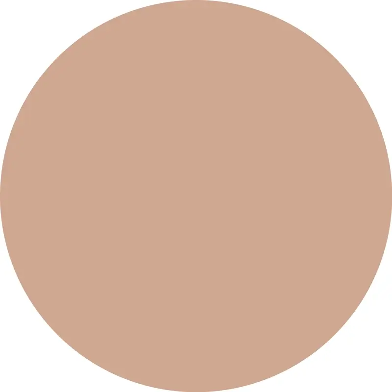 Essence Concealer Camouflage+ Matt 90 , 8 ml