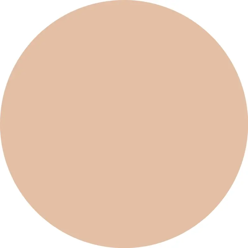 Essence Concealer Camouflage+ Matt 70 , 8 ml