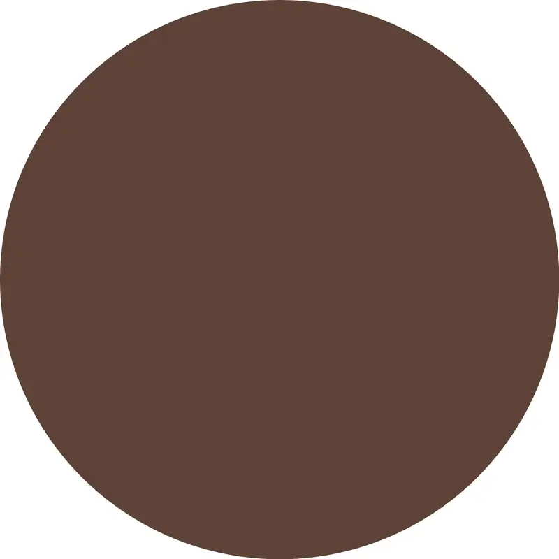 Essence Camouflage+ Concealer Matt 280 , 8 ml